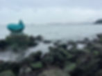 Sausalito Sea Lion.jpg