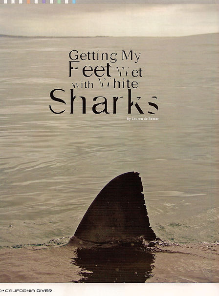 Getting my feet wet with white sharks