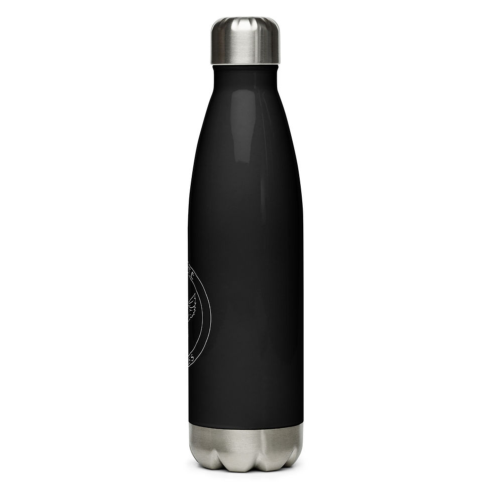 Thumbnail: Stainless steel water bottle