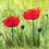 Thumbnail: Fibre Art: Layers of Poppies