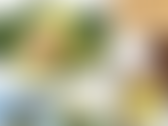 Les Lipides 3/4 - Les Acides Gras Mono) et Poly-insaturés