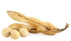 Nootropiques