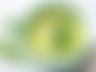 Processus de base d'une Soupe réconfortante & saine