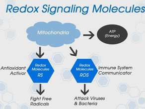 Molécules de signalisation REDOX : quand la science à la portée de l'humain ≪ mime ≫ le vivant