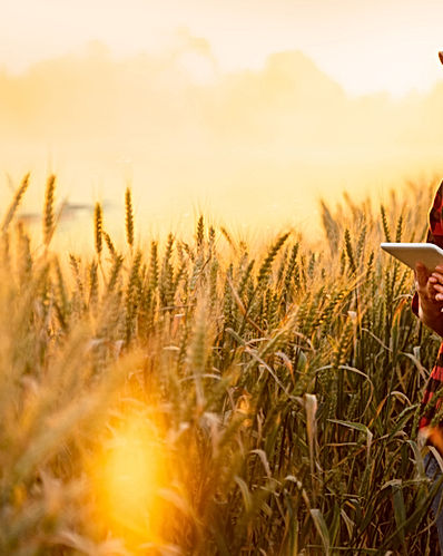 Digital Transformation.webp