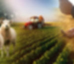 Featured-1_edited_edited_edited