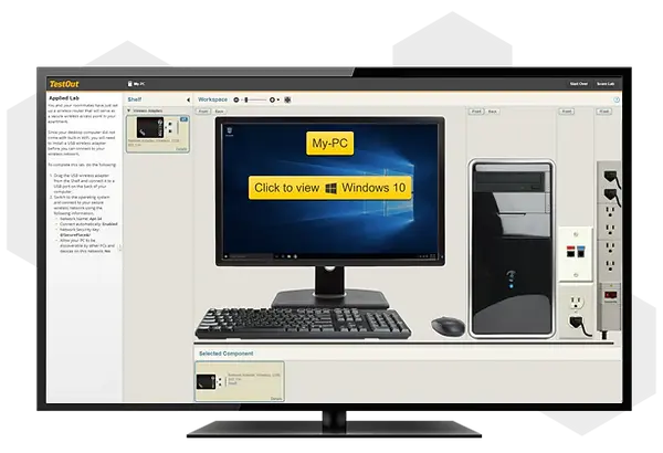 Windows Pro Simulations
