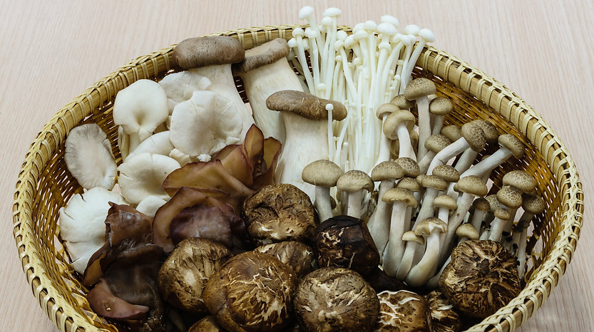 benefits of mushrooms