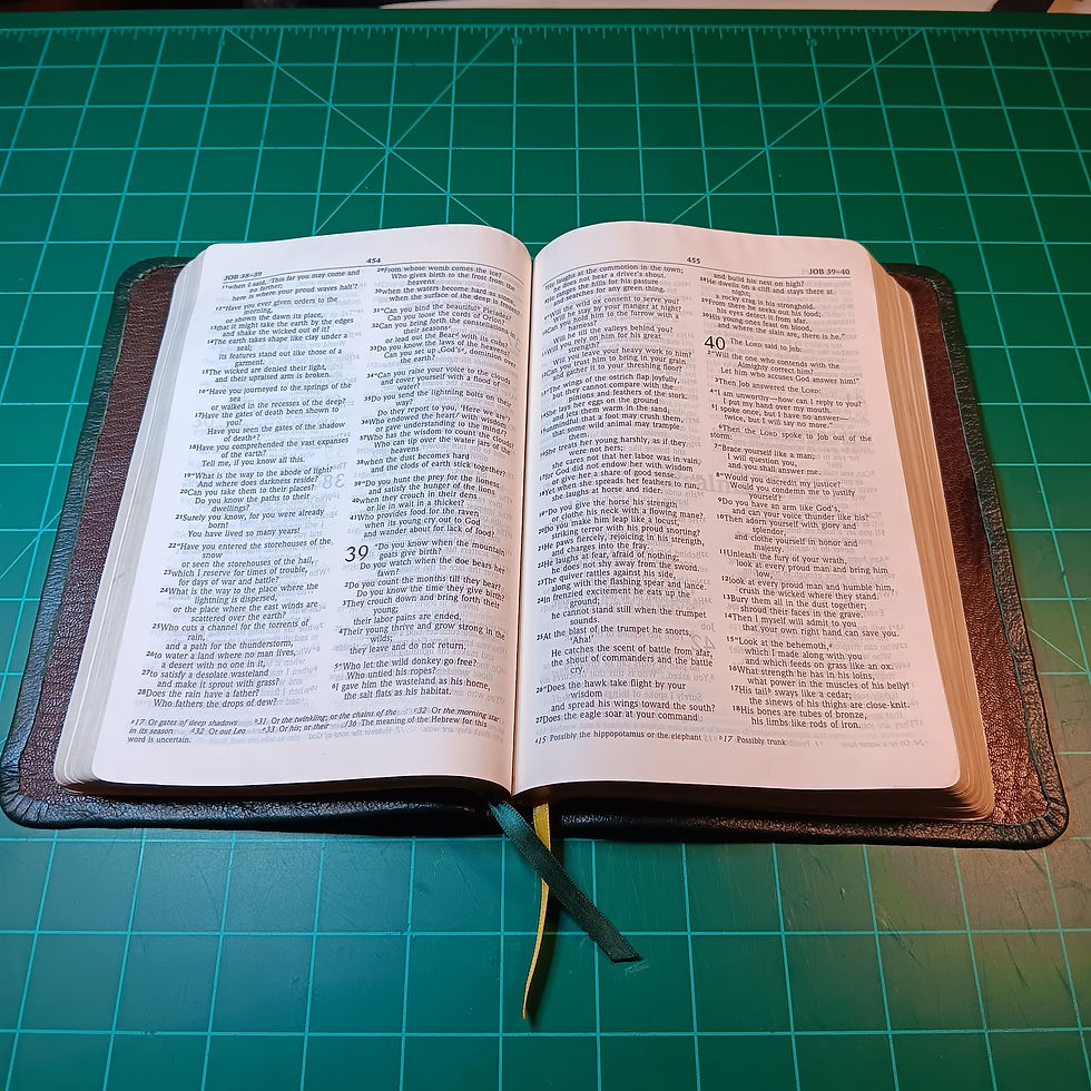 Green leather Bible
