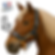 Licol cheval XXL - COMTOIS-(25mm)
