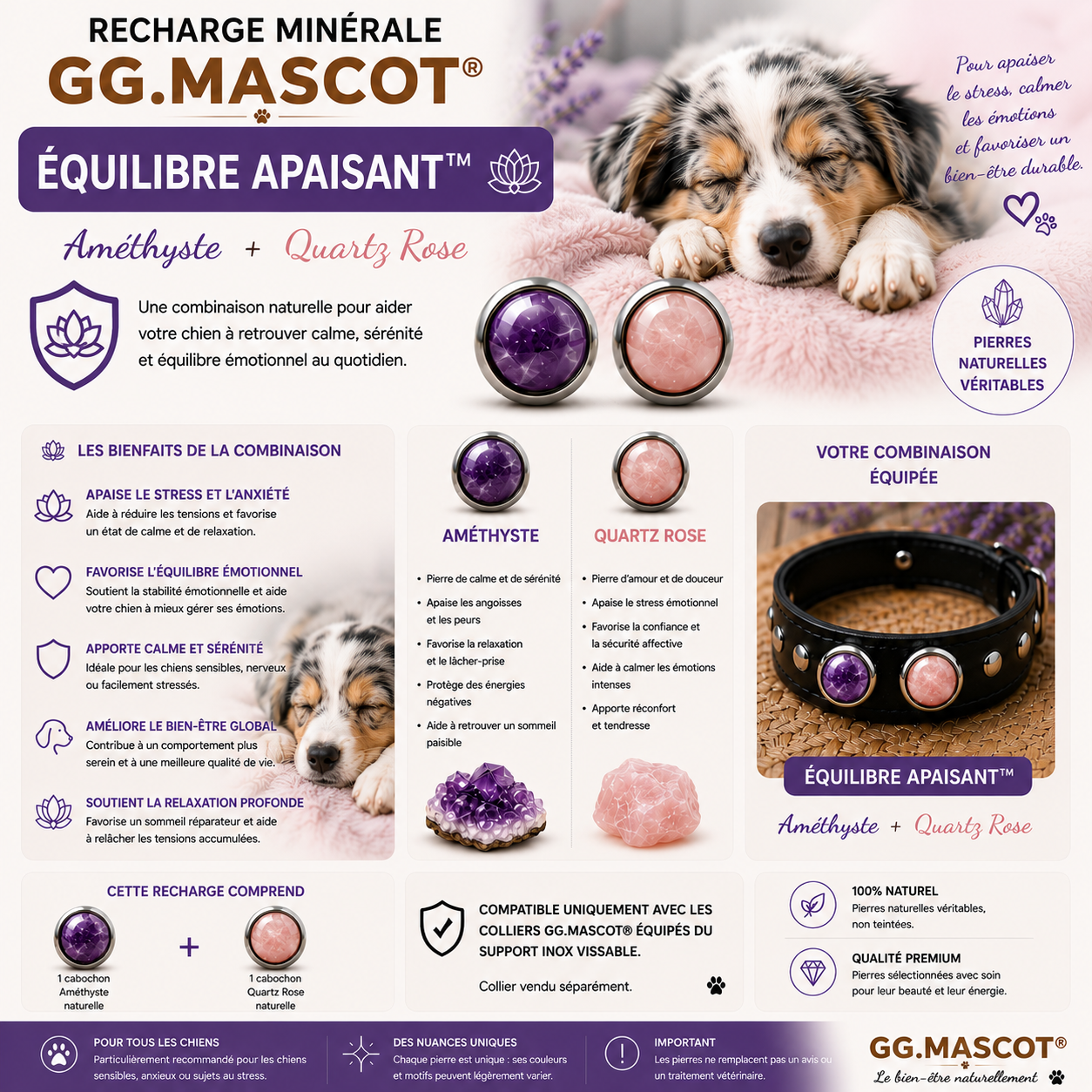 Recharge Minérale GG.Mascot® - Équilbre Apaisant