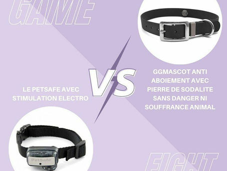 Collier alternatif au collier electrique pour les chiens 