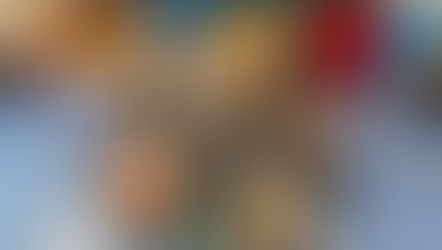 １年間の思い出🐤　🐿