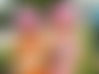うさぎ組さんの様子🐰