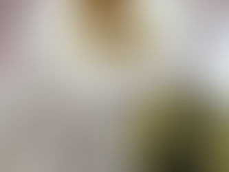 しゅうまい☆彡