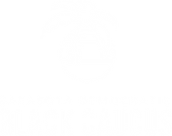 sarasota black democratic caucus logo white.png