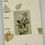 Thumbnail: Floral Window Book