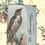 Thumbnail: Window Book: Bird