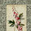 Thumbnail: Window Book: Bleeding Hearts