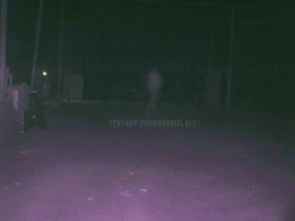 Terror Nights Apparition (original lightened & Marked) (2).jpg