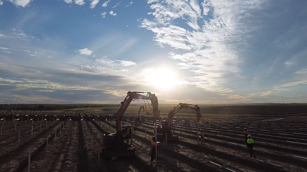 Vineyard Trellis Installation Project