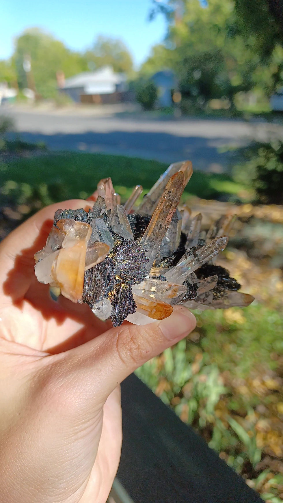 Thumbnail: Iron needle Quartz on specularite