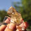 Thumbnail: Small Fenster Window Quartz Crystal