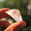 Thumbnail: Small Arkansas Quartz Crystal Point