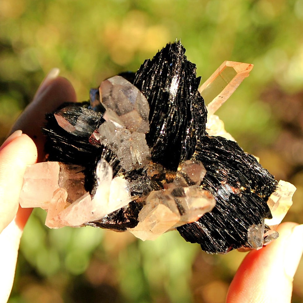 Thumbnail: Iron needle Quartz on specularite