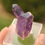 Thumbnail: Tiny Goboboseb Amethyst Crystal Cluster