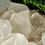 Thumbnail: Himalayan Quartz Cluster