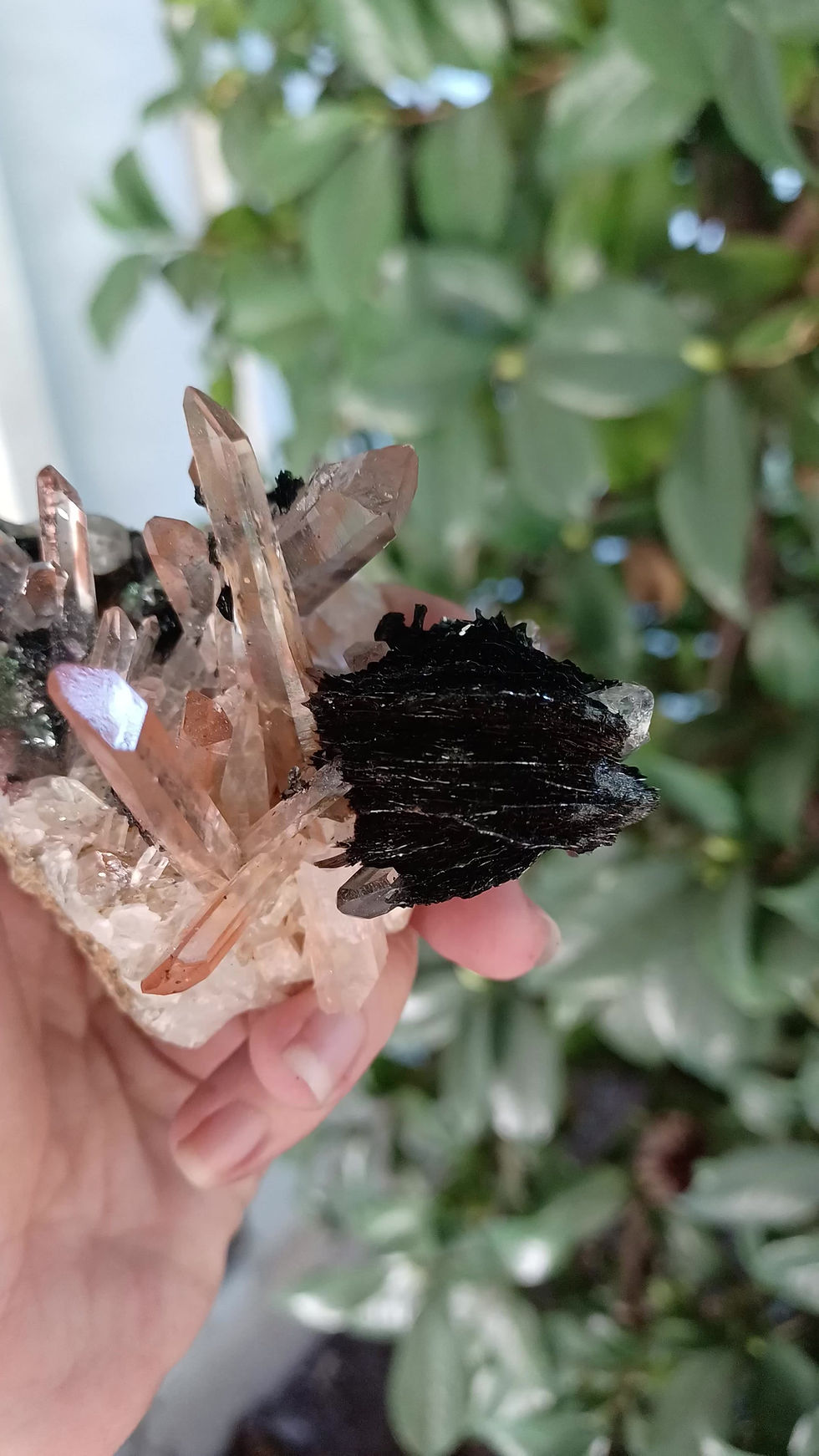 Thumbnail: Iron needle Quartz on specularite