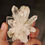 Thumbnail: Small Goboboseb Quartz Crystal Cluster