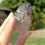 Thumbnail: Small Goboboseb Smokey Amethyst Crystal