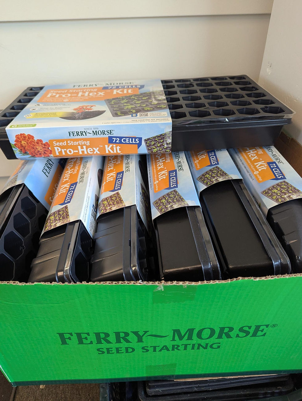 Thumbnail: SPRING SEED KIT: Starter Tray + Seeds