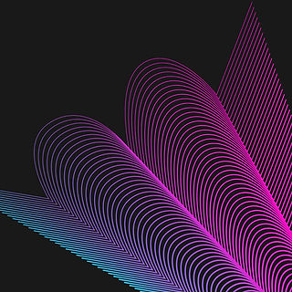 Wavy Net 