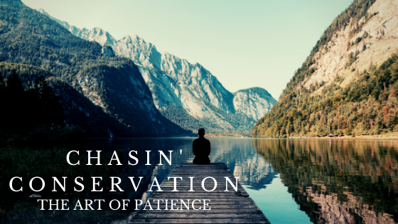 Chasin' Conservation: The Art of Patience.