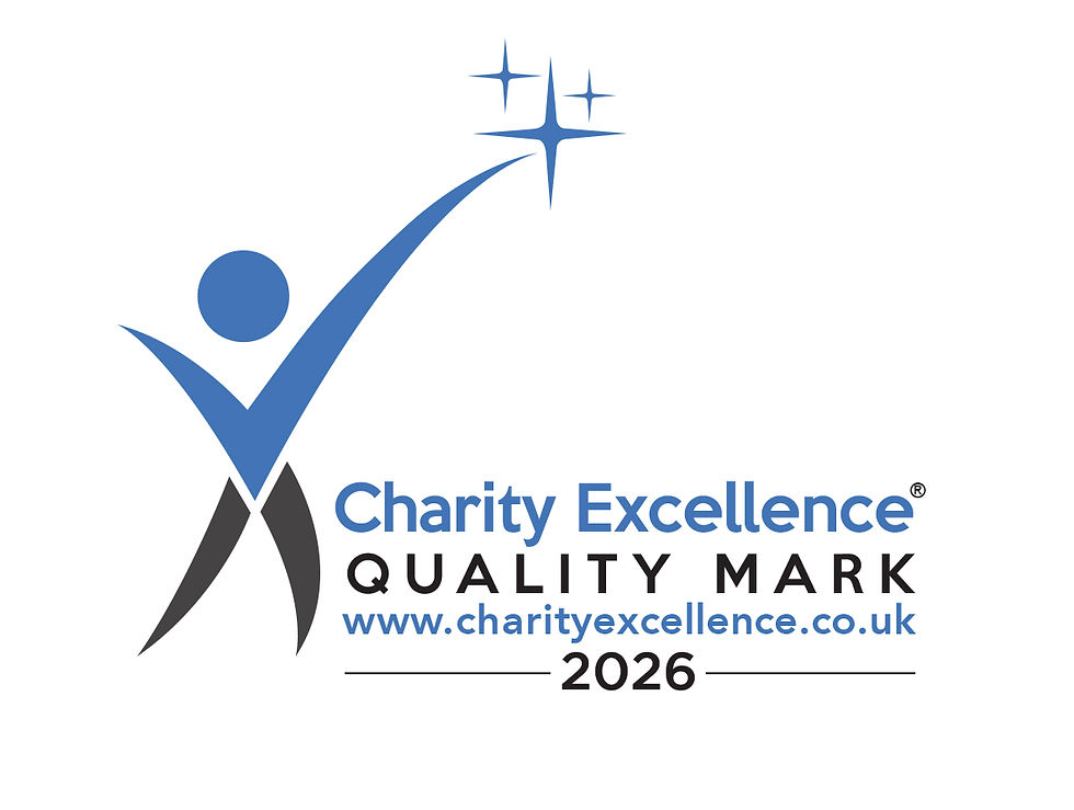 Charity Excellence quality mark logo