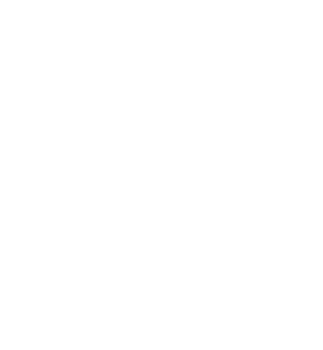 Icon_2