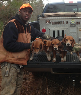 -abbit hunting with beagles