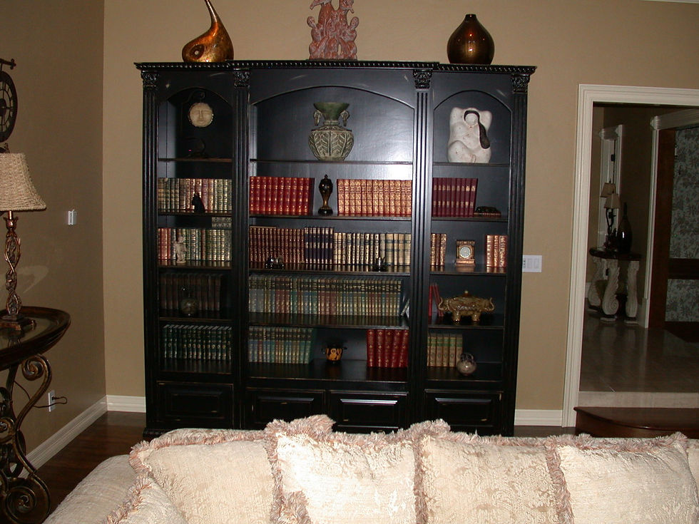 Stacy Custom Bookcase