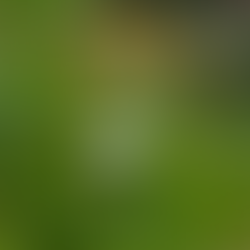 Everyone’s Different... Sort of 