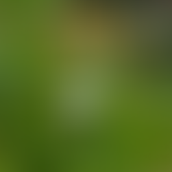 Everyone’s Different... Sort of 