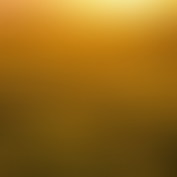 Notice Something Beautiful