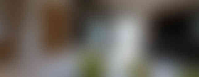 The Galloway coastal holiday home by Northumberland Luxury Stays – a dog-friendly getaway with hot tub near the Northumberland coast.