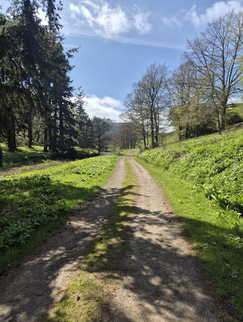 Girls weekend walking 6.2-mile circular route around Hulne Park in Alnwick, Northumberland, woodland trails, countryside views and historic Hulne Abbey ruins.