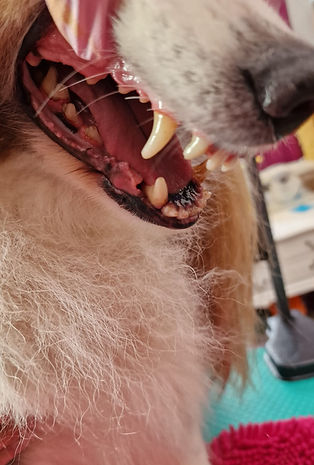 WhatsApp Image 2024-02-13 at 11.31.32(1).jpeg