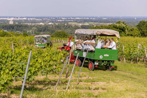 Fahrende Weinprobe in Weinbergen