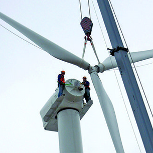 From Blue Collar to Green