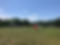 Camp Set Up (1).jpg